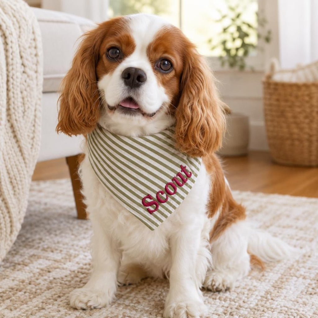 Custom Dog Bandana Embroidered | Personalized Pet Bandana with Name | Seersucker Striped Dog Scarf | Custom Puppy Gift | Cat Bandana Tie On