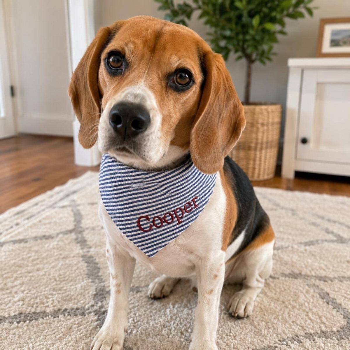 Custom Dog Bandana Embroidered | Personalized Pet Bandana with Name | Seersucker Striped Dog Scarf | Custom Puppy Gift | Cat Bandana Tie On